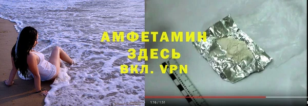 твердый Арсеньев