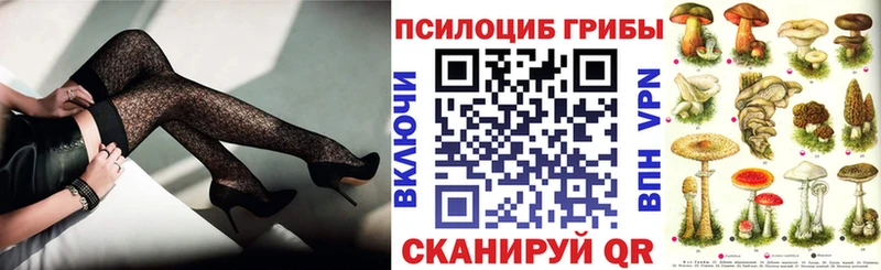 Псилоцибиновые грибы Psilocybine cubensis  Боготол 